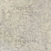 Anthozoa
