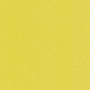 Обои Lutece Les Petits Curieux 11163304 - фото