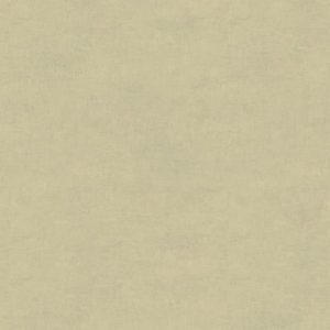 Обои Sirpi Leonardo 23065 - фото