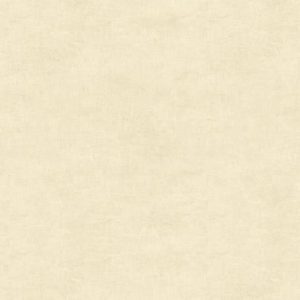 Обои Sirpi Leonardo 23067 - фото