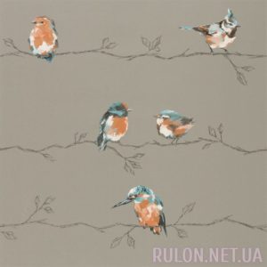 Обои Harlequin Standing Ovation 111485 - фото