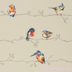 Обои Harlequin Standing Ovation 111486 - фото
