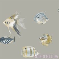 Обои Harlequin Anthozoa 111646 - фото