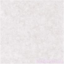 Обои Caselio Beton 101489301 - фото