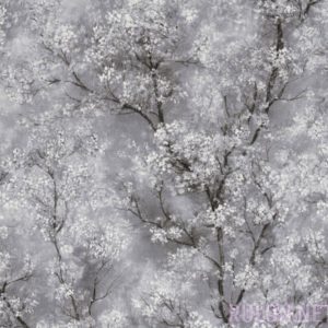 Обои AS Creation New Walls 37420-1 - фото