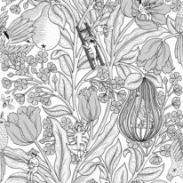 Обои Coordonne Metamorphosis 8800017 - фото