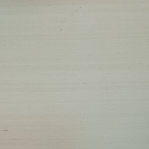 Обои KT Exclusive Carl Robinson Raffles No. 16 CB60804 - фото