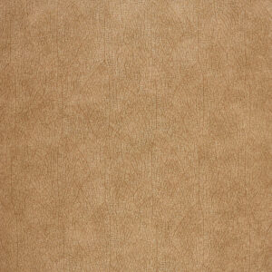 Обои Casadeco Woods 26213525 - фото