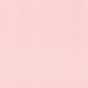 Обои Rasch Petite Fleur 5 289021 - фото