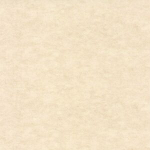 Обои Caselio Beton 2 101481123 - фото