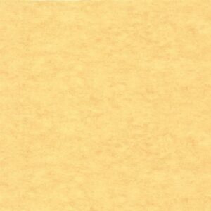 Обои Caselio Beton 2 101482200 - фото