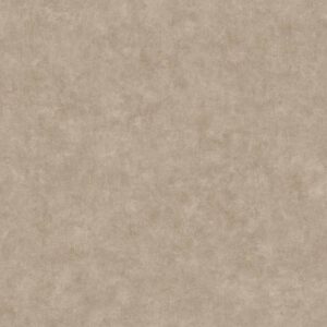 Обои Caselio Beton 2 101482213 - фото