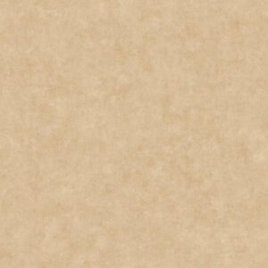 Обои Caselio Beton 2 101482446 - фото
