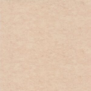 Обои Caselio Beton 2 101482551 - фото