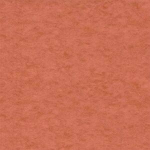 Обои Caselio Beton 2 101483434 - фото