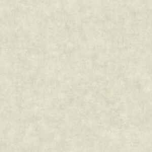 Обои Caselio Beton 2 101487140 - фото