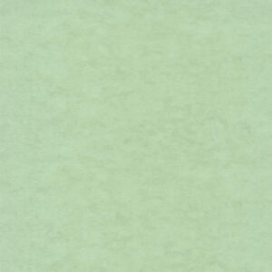 Обои Caselio Beton 2 101487270 - фото