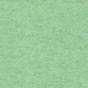 Обои Caselio Beton 2 101487332 - фото