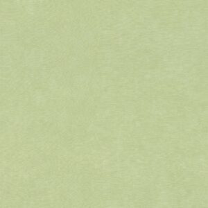 Обои Rasch Paraiso 330052 - фото
