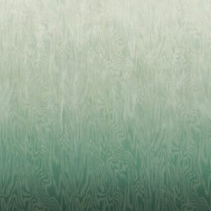 Обои Khroma Wall Designs IV DG4MOI1021-1023 - фото