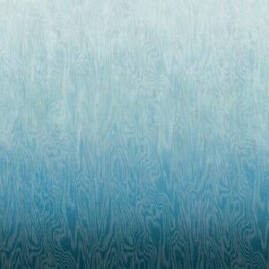 Обои Khroma Wall Designs IV DG4MOI1031-1033 - фото