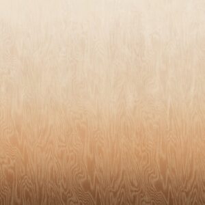 Обои Khroma Wall Designs IV DG4MOI1041-1043 - фото