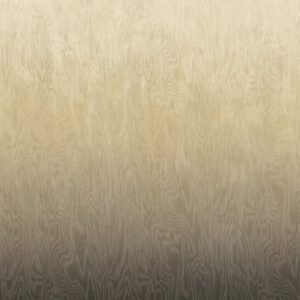 Обои Khroma Wall Designs IV DG4MOI1051-1053 - фото