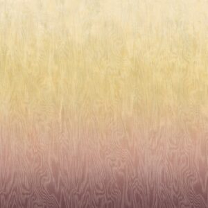 Обои Khroma Wall Designs IV DG4MOI1061-1063 - фото