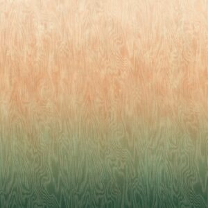 Обои Khroma Wall Designs IV DG4MOI1081-1083 - фото