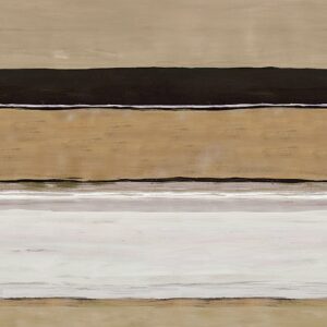 Обои Khroma Wall Designs IV DG4TER1031-1032 - фото