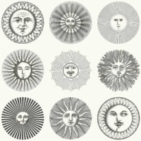 Обои Cole & Son Fornasetti  Senza Tempo II 123-1001 - фото