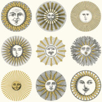 Обои Cole & Son Fornasetti  Senza Tempo II 123-1002 - фото