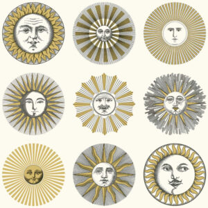 Обои Cole & Son Fornasetti  Senza Tempo II 123-1002 - фото