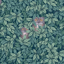 Обои Cole & Son Fornasetti  Senza Tempo II 123-11051 - фото