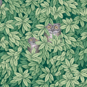 Обои Cole & Son Fornasetti  Senza Tempo II 123-11054 - фото