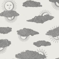 Обои Cole & Son Fornasetti  Senza Tempo II 123-2007 - фото