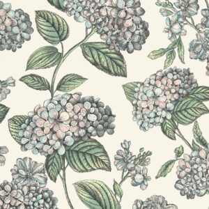 Обои Cole & Son Fornasetti  Senza Tempo II 123-8039 - фото