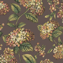 Обои Cole & Son Fornasetti  Senza Tempo II 123-8041 - фото