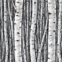 Обои Marburg Timber 35397 - фото