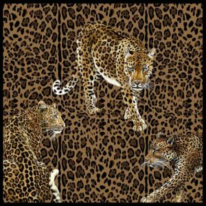 Обои Emiliana Dolce&Gabbana Casa TCW001TCAI5UL033 - фото