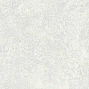 Обои Emiliana Dolce&Gabbana Casa TCW007TCAHOUL041 - фото