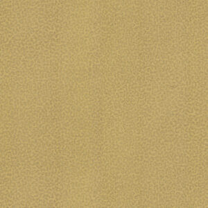 Обои Roberto Cavalli Roberto Cavalli 8 rc19017 - фото