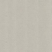 Обои Roberto Cavalli Roberto Cavalli 8 rc19027 - фото