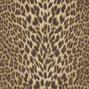 Обои Roberto Cavalli Roberto Cavalli 9 rc21041 - фото
