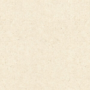 Обои Rasch Wall Textures 974218 - фото
